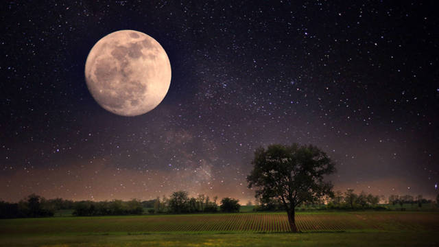 La Luna de Lobo 2024 la primera luna llena del año cómo ver la luna