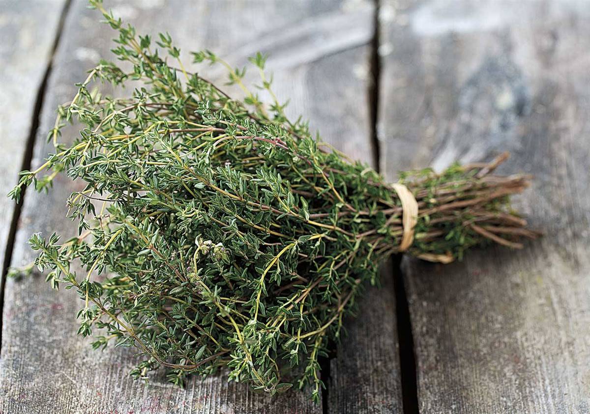 Plantas medicinales contra el resfriado y la gripe