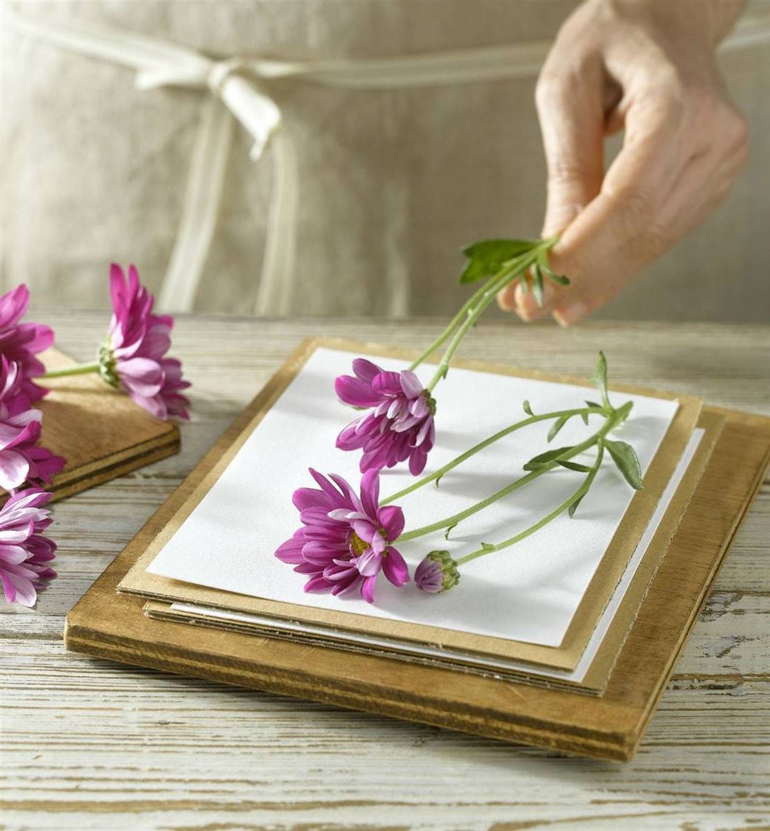 Flores prensadas: cómo prensar tus propias flores para tus proyectos DIY