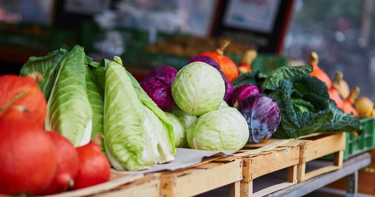 6 Beneficios De Las Verduras Según Su Color