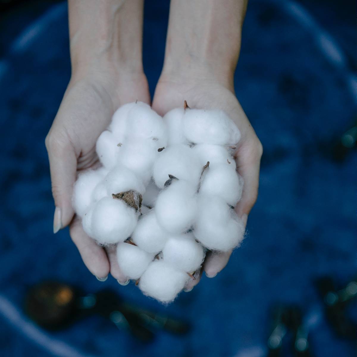 Por qué apostar por el algodón ecológico y de comercio justo?