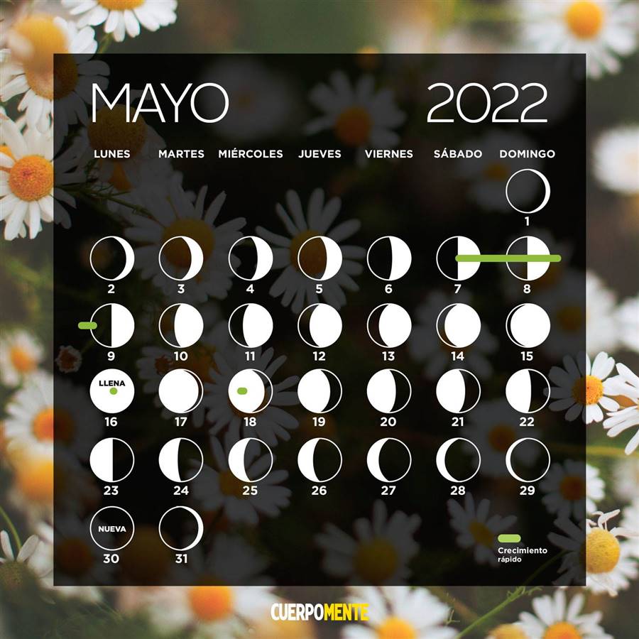 Calendario lunar de mayo 2022 Fases lunares