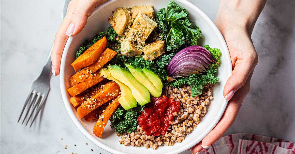 Cómo Obtener Proteínas En La Dieta Vegetariana Con Menú Semanal Descargable 4133