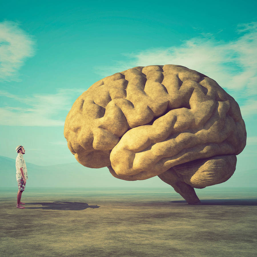 Educa tu cerebro y optimiza su funcionamiento: entrevista a David Bueno