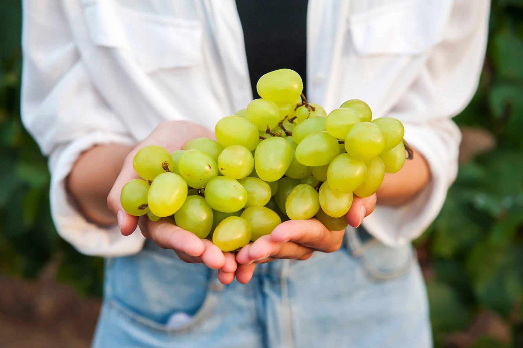 6 frutos secos que llegan en otoño: más nutritivos y protectores