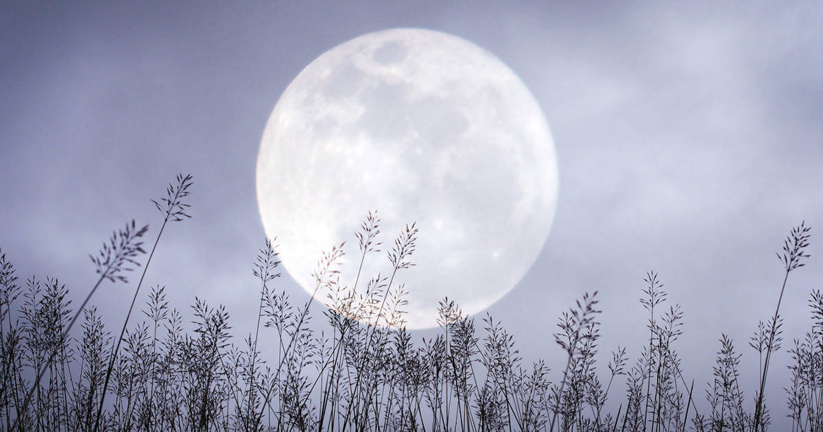 Luna llena de febrero 2024 o Luna de nieve, una microluna llena de magia