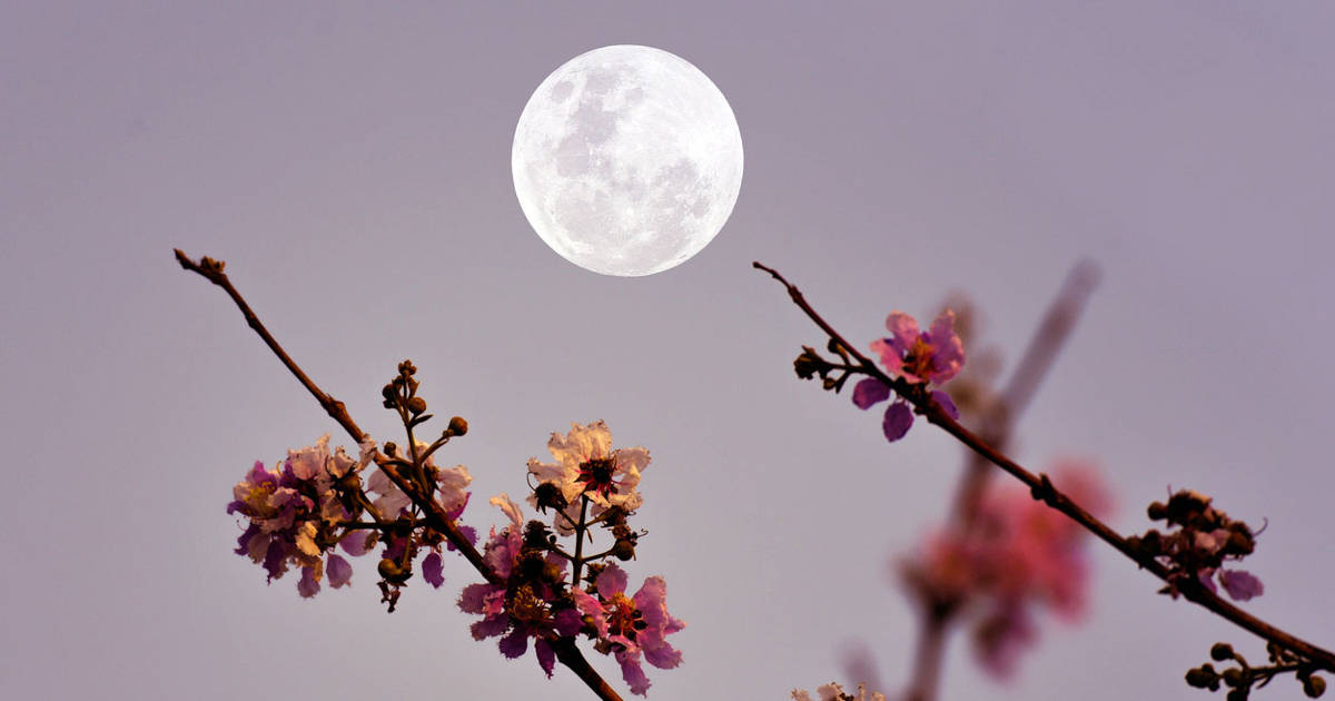 Luna llena HOY la primera luna llena de la primavera